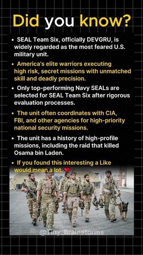 The Most Feared U.S. Military Unit