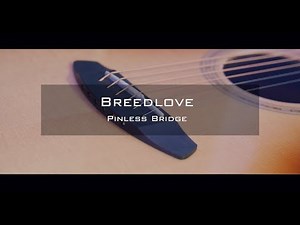 Breedlove Pinless Bridge Overview