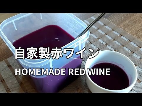HOMEMADE RED WINE (making from fresh Grapes)