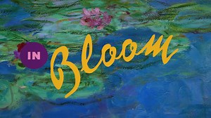 8K views · 157 reactions | This summer, experience the breathtaking,...