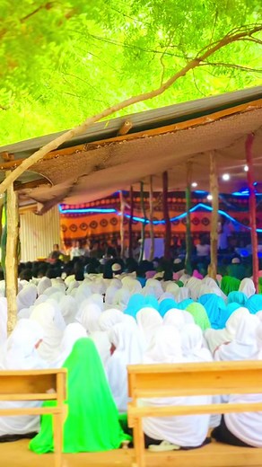 Welcome to Ihya Schools: Transforming Education