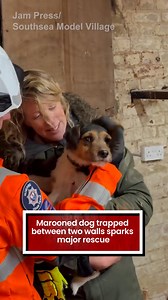 Benny had an emotional reunion with his owner 🐶 #NewsforYou | Mirror Weird News