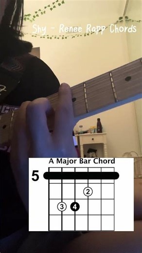 Shy - Reneé Rapp Chords #chords #guitar #tutorial #music #viral #guitarcover #reneérapp #shy