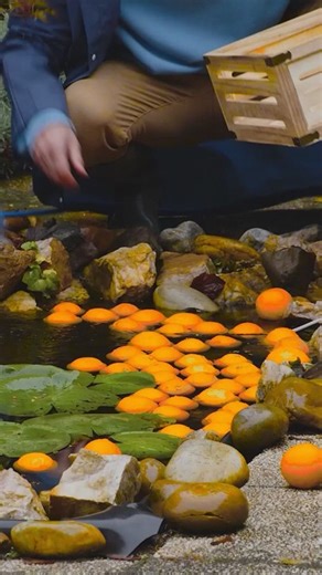 Revolutionary Orange Peel LEATHER Bag DIYed from SCRATCH?