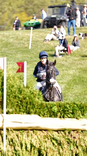 Really pleased with both horses today! Katie Lichten’s Jensen made easy work of a tough 3* track now sitting in 5th going into SJ. Vandyke started out amazing but when we had a refusal navigating the long route at the coffin, I re-presented the jump which he jumped happily and then I called it a day. I really did not want him to lose his enormous heart today over this track that was meant for seasoned 5* horses ! Best of luck to all in SJ today! 🎥 @thezebragroup | Allison Springer Eventing
