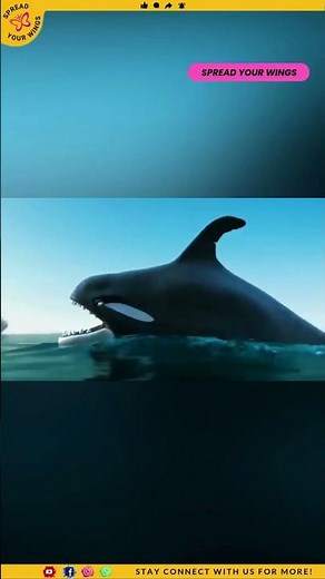 Cartoons Teaching Teamwork 💪 | Lessons In Unity 🌟