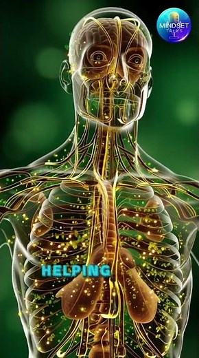 Is Popcorn Actually Healthy? 3D Animation Shows the Truth #nutritionfacts #healthyeating #facts