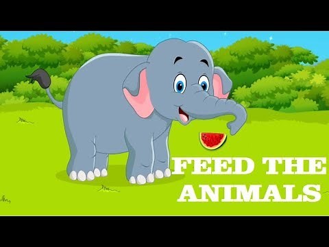 Feed The Animals | App Game Play | ABC Golden Games
