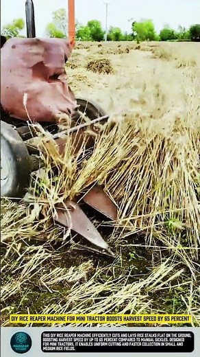 DIY Rice Reaper Machine for Mini Tractor boosts harvest speed by 65 percent