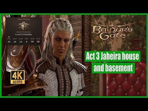 Baldur's Gate 3 Walkthrough Act 3 Jaheira house and basement