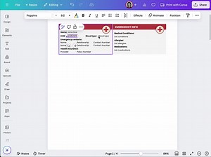In Case of Emergency Wallet Card, Printable Emergency ID, Medical Information Card, Edit and Print Emergency ID, Fillable Medical Info Card - Etsy