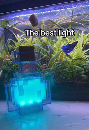 It’s literally as cool as it looks, do I even need to say anymore 😂 (fully rechargeable) #light #fishtank #aquarium #minecraft #potion