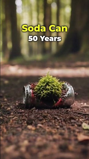 What Happens to Trash After We Throw It Away?