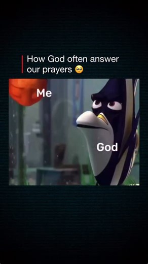 Prime Netflix videos upload here memes and movies | 🎬 Interesting Fact: Finding Nemo (2003) — Family, Trust, and the Big Blue World Finding Nemo follows Marlin, an overprotective clownfish,... | Instagram