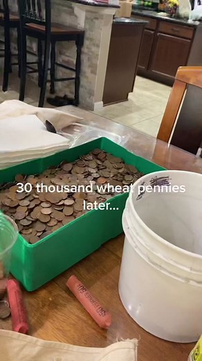 #coins #coincollecting #comeup #fyp #foryoupage