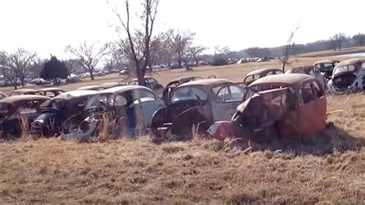 Mysterious VW Bug graveyard has dozens of rusty models - some go for $23k today