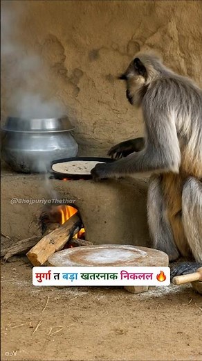 मुर्गा त बड़ा खतरनाक निकलल #funny #thetharpuns #bhojpuriyathethar #comedy #monkey