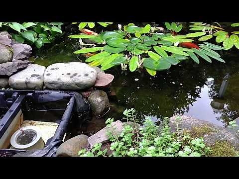 DIY floating weir skimmer design update