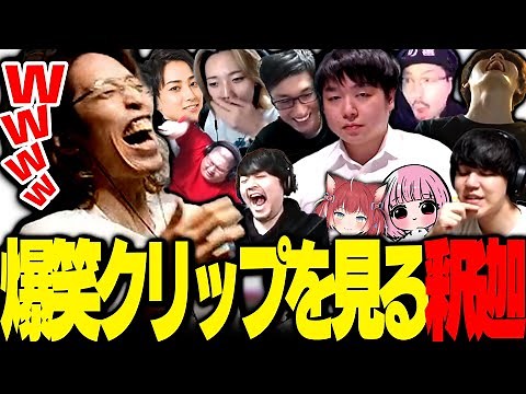 釈迦と見る、ストリーマー爆笑クリップ