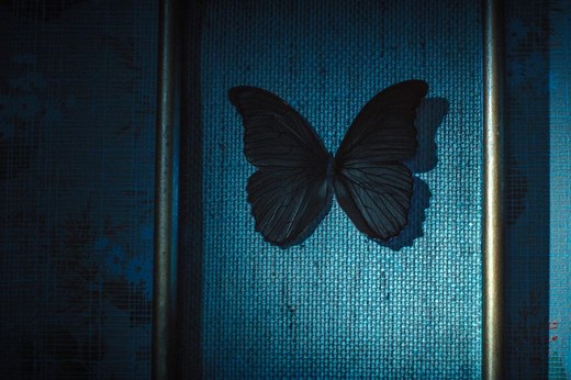 Stream It Or Skip It: ‘Black Butterflies’ On Netflix, A French Thriller Where An Author Gets Caught Up In A Subject’s Murderous Past