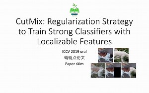 【自娱自阅】CutMix Regularization Strategy with Localizable Features