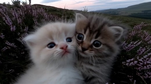 me and you. | me and you