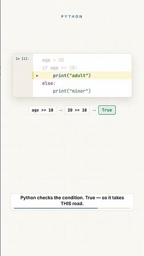 Python Basics: What if/else Actually Does #python #learnpython #coding