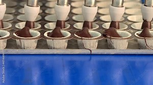 The production of delicious and colorful cakes is made in the factory. Making many kinds of cakes from chocolate to fruit, from hazelnut to pistachio, from cheese to coffee. Stock Video