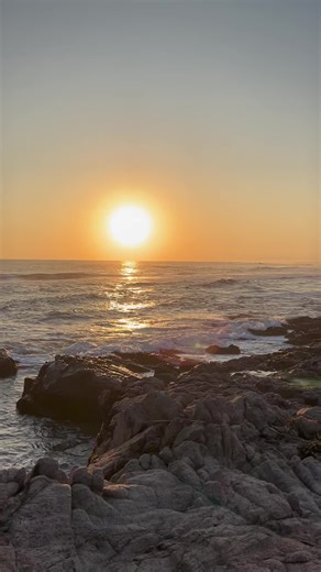 Alejandro Sifuentes on TikTok