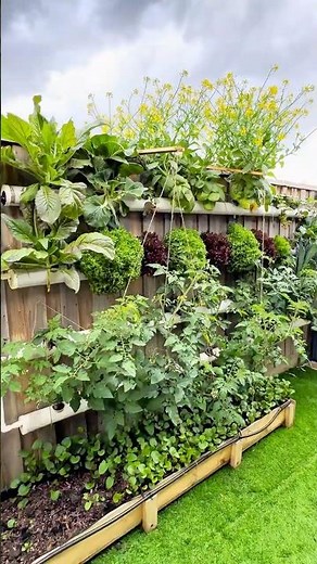 40 Days of Growth! 🌿 My Solar-Powered Hydroponic System is Thriving | DIY with Sam #diywithsam