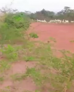 EASTERN SECURITY NETWORK (ESN) AT WORK PLEASE PRAY FOR ESN | Biafra UNITY