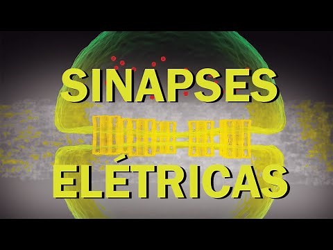 Sinapses Elétricas