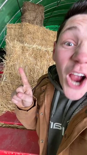 Hay vs. Straw: Understanding the Key Differences