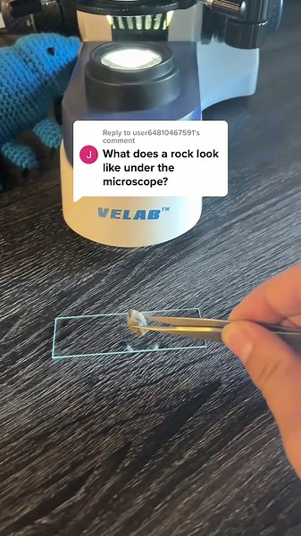 Never Thought I’d See This — Incredible Microscopic Wonders Revealed