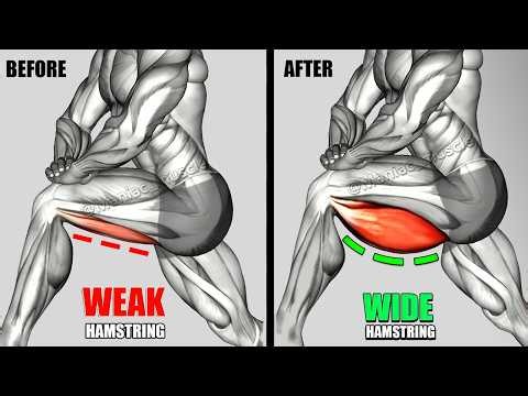The Best Hamstring Exercises to Get Huge Legs | Maniac Muscle