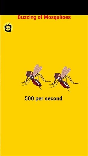 Why Do Mosquitoes Buzz in Your Ear? (The Real Reason!)[Verity TV]