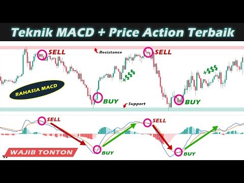 Strategi Scalping MACD + Price Action Terbaik Akurat, Profit Konsisten || Teknik MACD Pemula