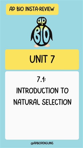 Understanding Natural Selection in AP Biology