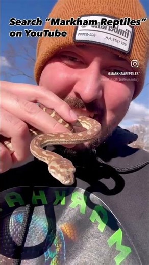 Search “Markham Reptiles” on YouTube