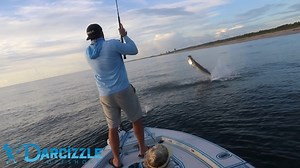 REACTION VID! Monster Tarpon off the beach, Stuart, FL 😳😲😮 | Darcizzle Offshore