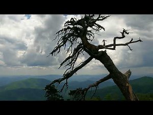 Drive To Top of Mt Mitchell State Park NC