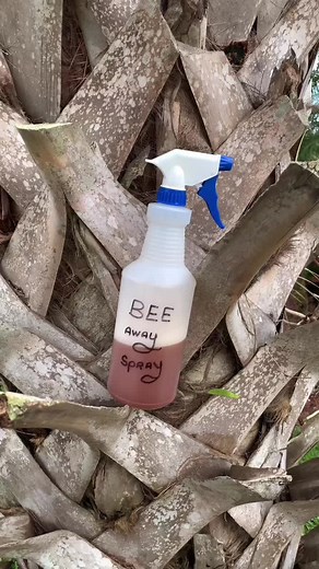Organic Hornet Repellent Spray Recipe