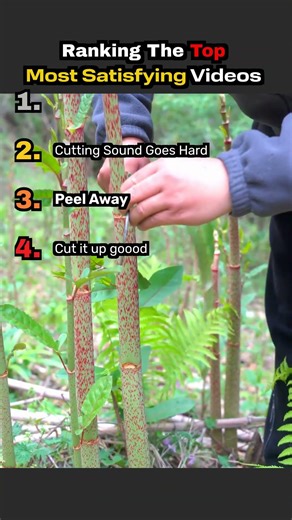 Ranking The Top Most Satisfying Vidoes!