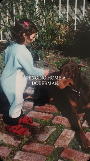 Alexis Elliott on Instagram: "DISCLAIMER ‼️ I am not a trainer! If you want professional advice , seek and pay for professional advice. These are things I DID and would do again, there’s more to the list but I didn’t want this to go forever. Also every dog is differently and needs different things but I feel like these are pretty basic and standard. Reminder, raising a Doberman isn’t for a weak, impatient, or lazy person 🙏🏻"