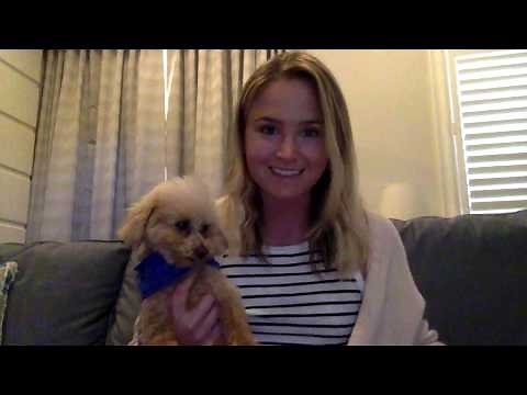 Chapter 4: Wish by Barbara O'Connor