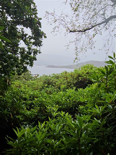 View point though the forest in Scotland.#nature#hikin #scotland #viewpoint