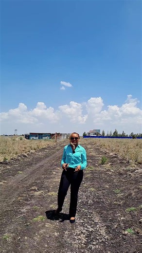 Conveyancing Practice in Kenya: Essential Site Verification Steps