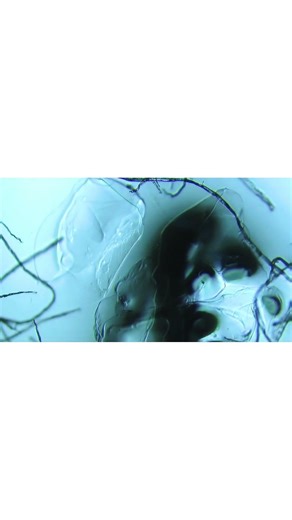 Different chemicals in microscopic view! Just beautiful. 😍 #microscope #science #sciencevideo