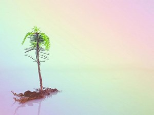 Bitcoin’s Taproot Upgrade Might Already Be Priced In