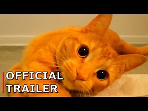 Official Trailer | Ginger The Spoiled Cat
